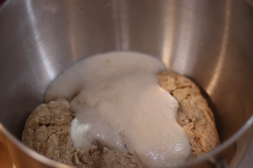 mixing bowl with dough and yeast