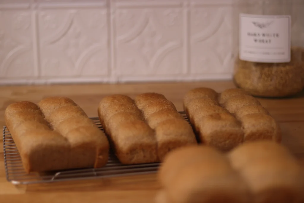 fresh milled dinner rolls on a cooling rack